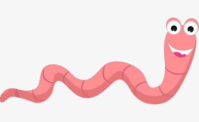 |蚯蚓被切成两半？就变成了俩兄弟？