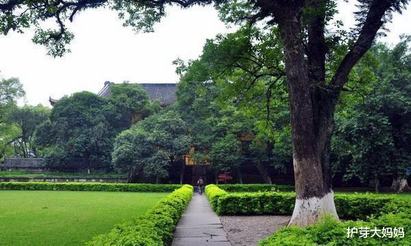 『』中国最“舒服”的大学，直接建在国家5A景区内，师生每天都在旅游