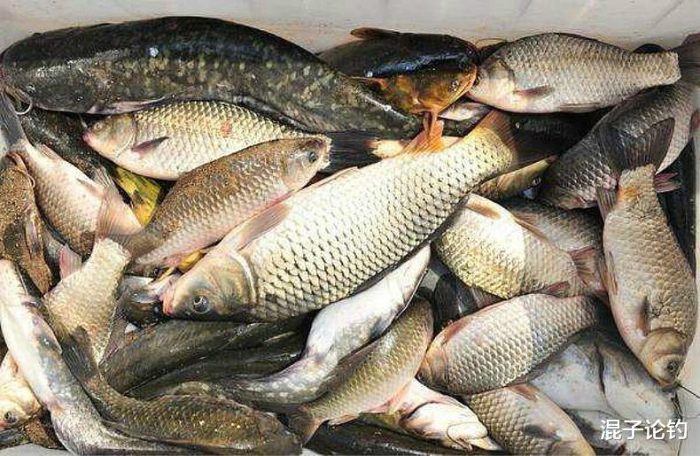 「」夏季野钓净是小鱼，如何改变才能“小中钓大”呢？