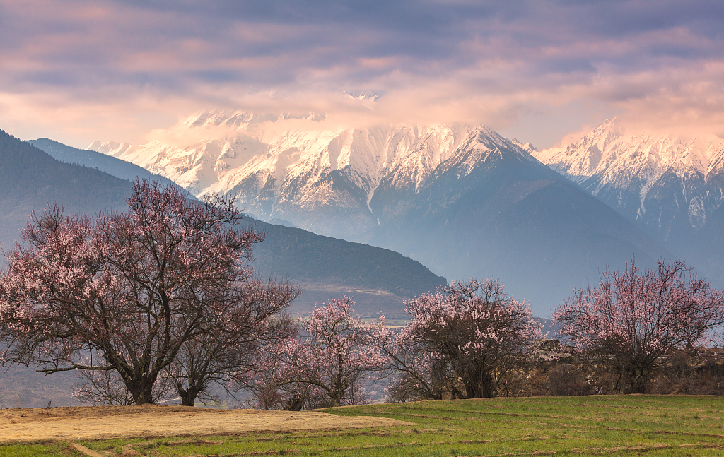 巨蟹座|9月,大吉大利大福气,3个星座咸鱼翻身,接捧好运气!