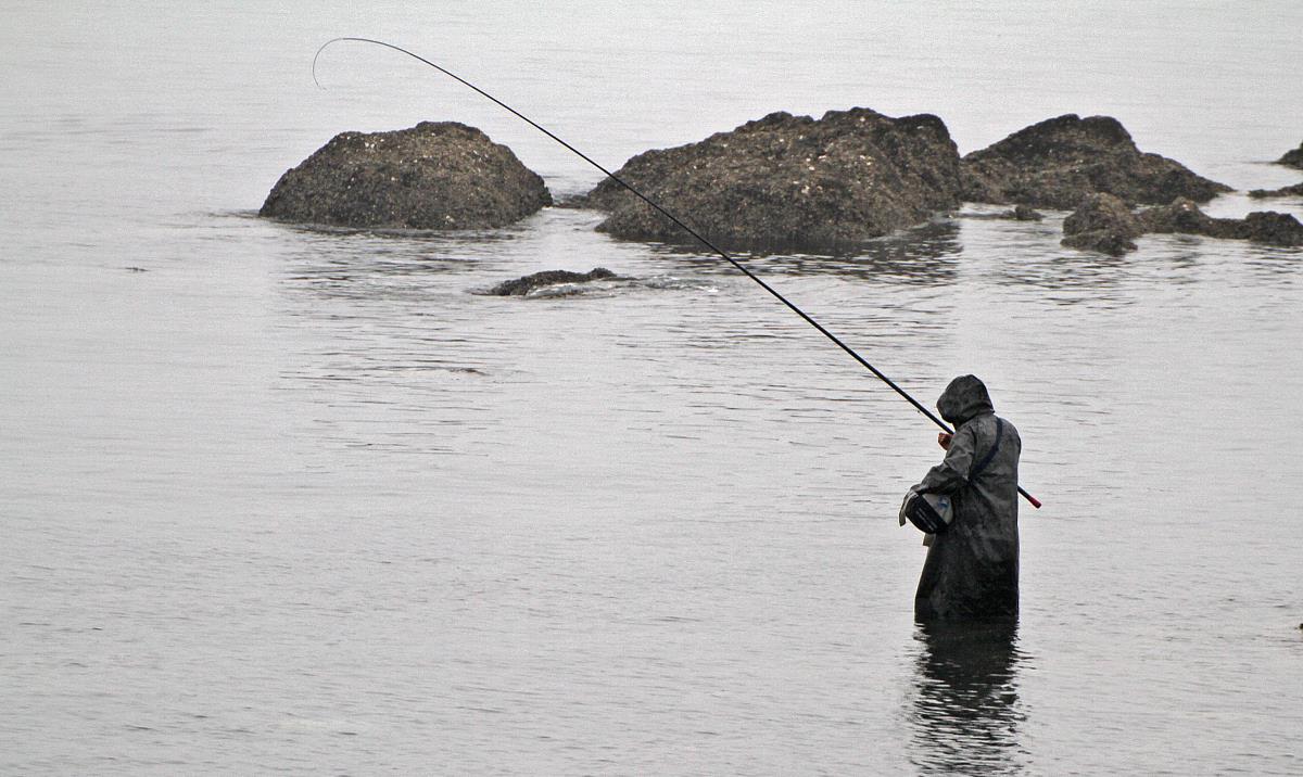 钓鱼|老话讲“涨水钓鱼，落水摸虾”，落水后真的难钓鱼吗？