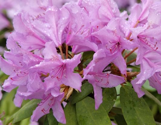 天蝎座|12月初开始，4属相鸿运当头，喜事多多，好事连连，生活美好