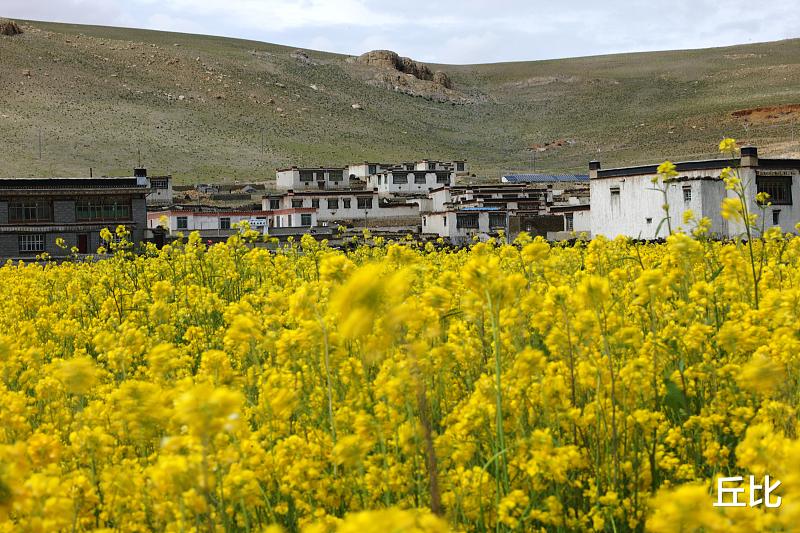 【自驾】自驾游必去的10条极致大道，有人说去过才不枉此生！