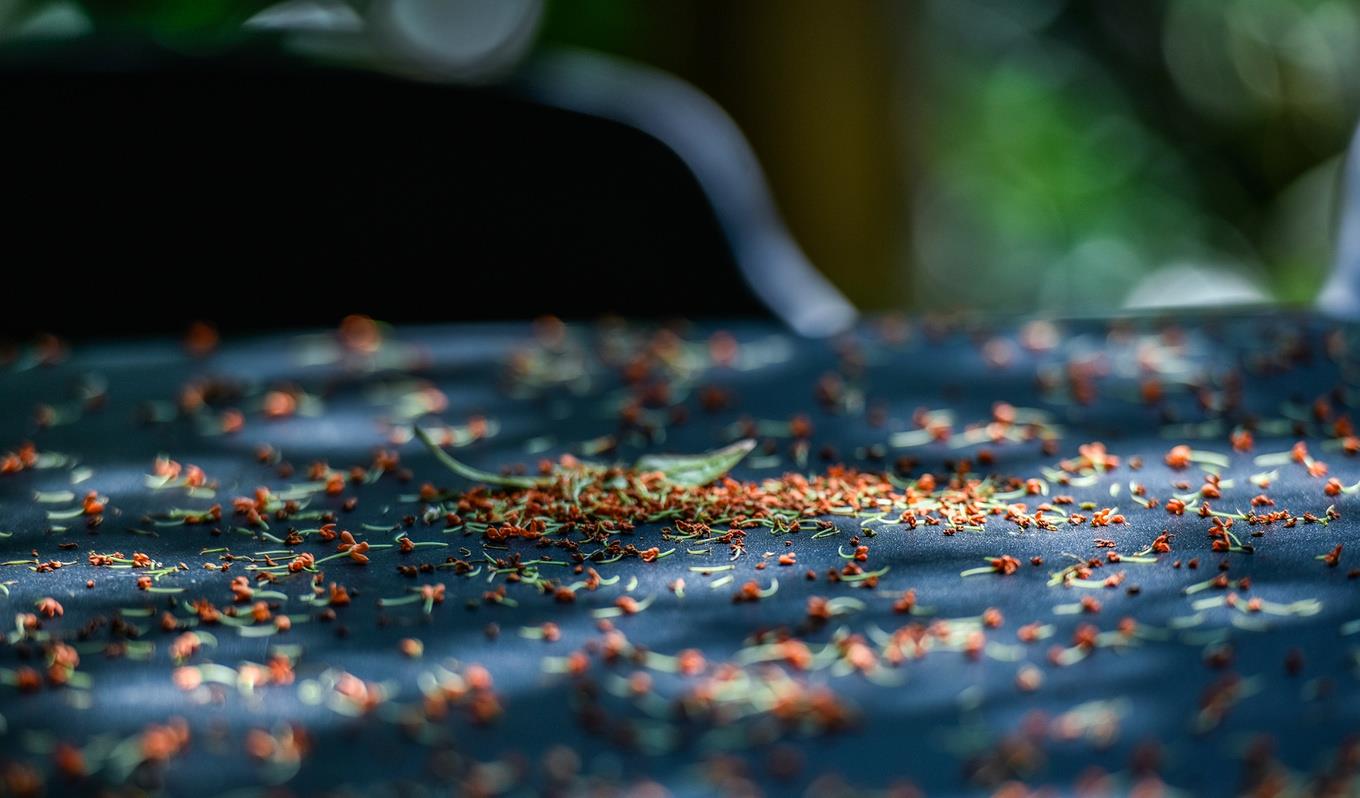 杭州|难得国庆与中秋同天，杭州堵车上了热搜，该景区游客少得让人惊讶