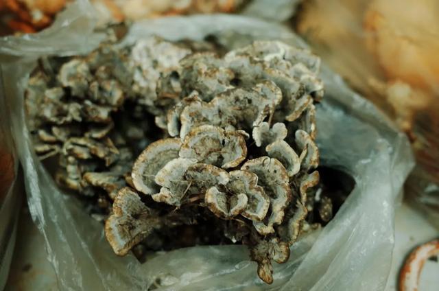 新周刊|云南人在这件事上，命比谁都硬