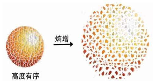 科学家|科学家发现了终极物理定律，却说宁愿没有发现它，这是为什么？