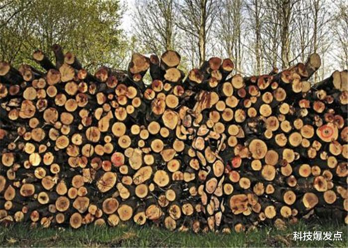 ▲右脑极度发达的人，才能看到图片中的物体，考考你的眼力！