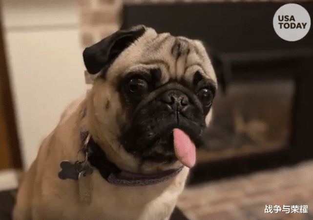 美国▲美国锁定零号病例，地址位于北卡罗来纳州，俄愤慨：这根本不可能