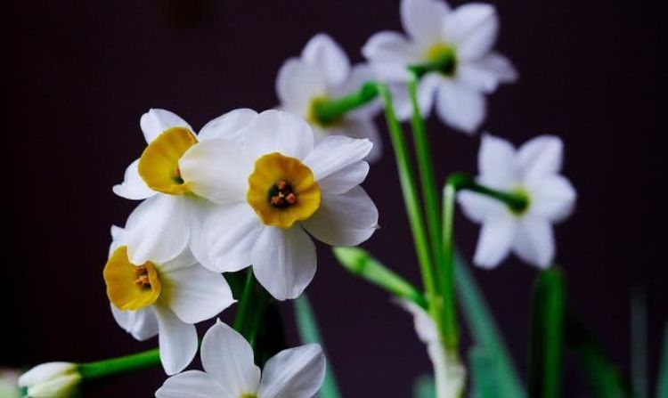 [运势]6月下旬开始事业一马平川，运势旺，十有八九变富翁的四大生肖