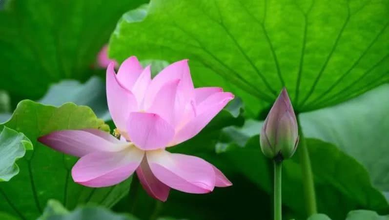 【运势】4月25号福临门，4月26号不得了，4生肖财气十足，2020年惹不起