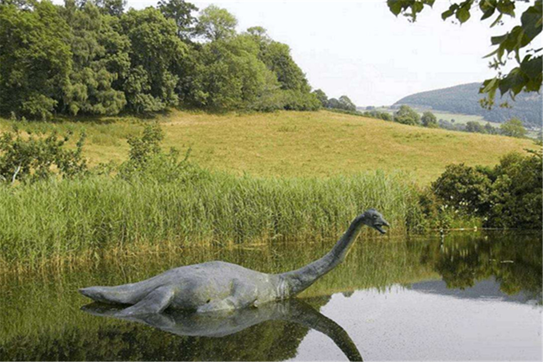 尼斯湖水怪|2020年的第7次目击事件!尼斯湖出现黑色巨大生物,水怪又出现了?