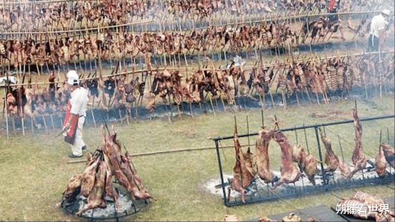 [广东人]非洲“毁灭性”物种入侵我国，为啥连广东人都怂了？可算知道了