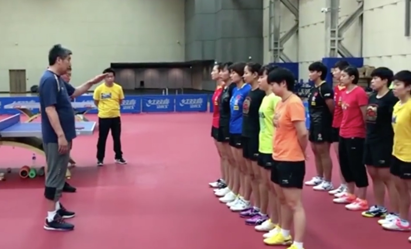 陈乔恩：国乒世界第一意外惨败仅获第8，刘诗雯又缺战 樊振东压马龙夺冠