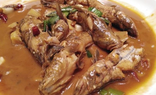 ：爬了三亿年才“上岸”，刚“上岸”就被人吃了，网友：真可怜