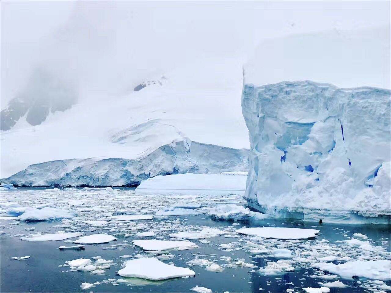 历史解密坊|探险家莫森和同伴为何在南极,吃了雪橇犬的狗肝,就中毒身亡了