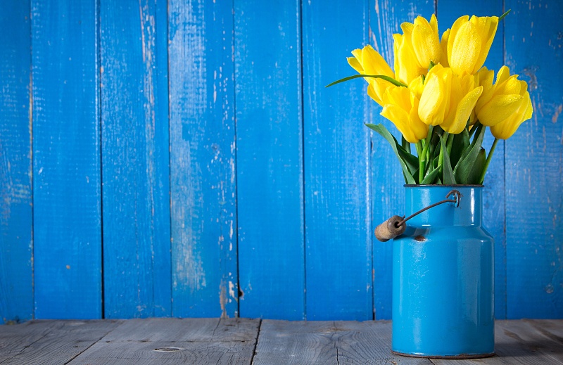 生肖|11月上旬多财多福，财运大旺，大富大贵，洪福齐天的三大生肖