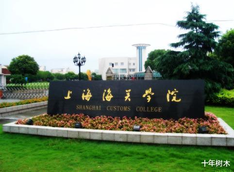 高校|令人眼红!1位考生487分上名校,为何顶级211高校也能“断档”?