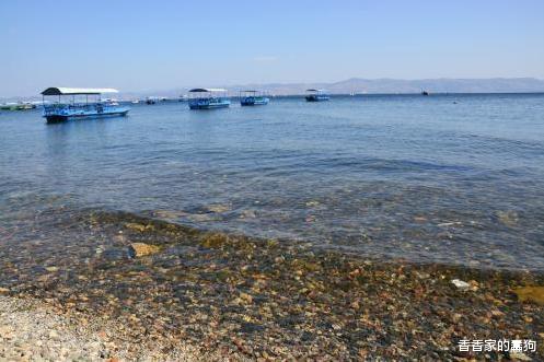 只有敬畏和责任，才能带来诗和远方