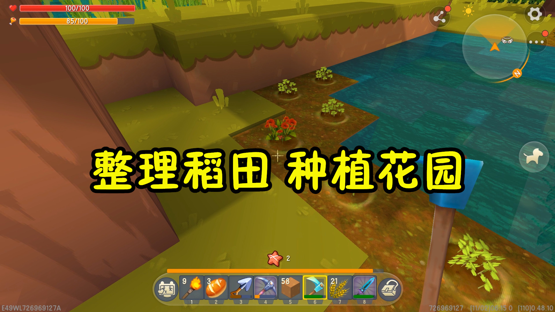 王木薯极限生存12:整理水稻田,再做一个小花园!