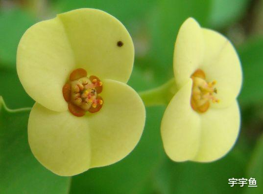 万事如意|未来20天,4属相财运亨通,财源滚滚,生活一顺百顺,万事如意