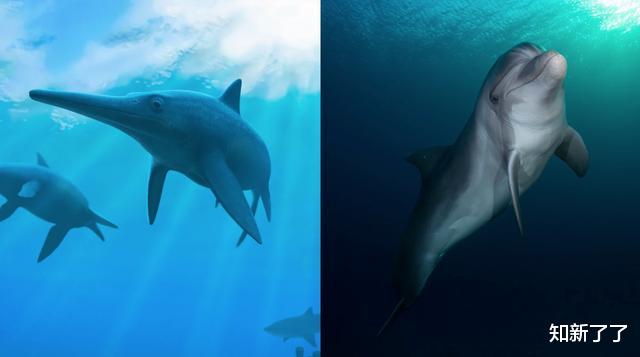 活火熔城▲进化自我复制的8个狂野的例子