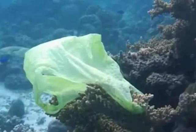 |潜水艇深入海底3700米，看到的景象让人后怕，这还是地球吗？