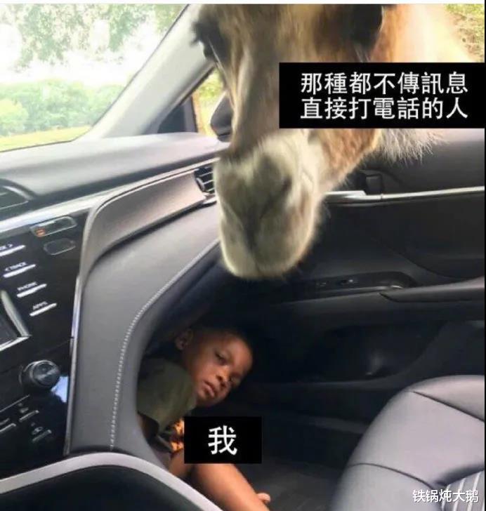 ##“出门一个月了，忘了家里还头猪...”哈哈哈哈是我见过最可怜的猪了...