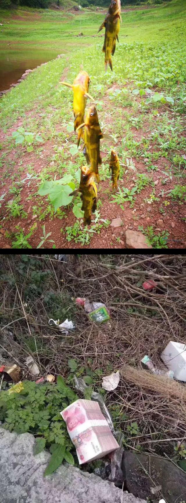 「」网友们给出个主意：钓鱼时看到的，捡还是不捡？