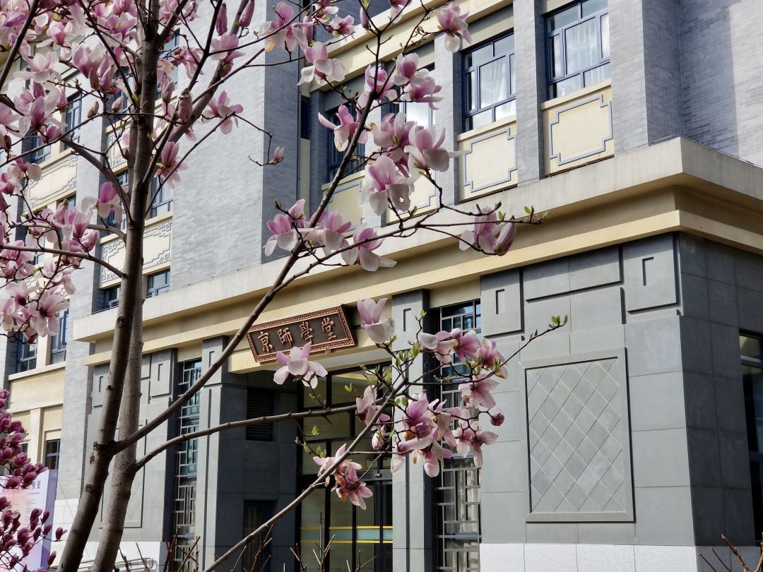 北京师范大学|2020年招生爆冷的985高校，投档线下降106分，网友：捡漏成功