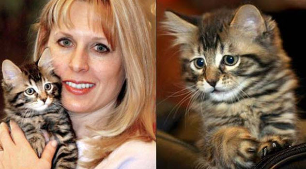 「基因」史上卖得最贵的10种动物，网友感叹：活得还不如一只昆虫