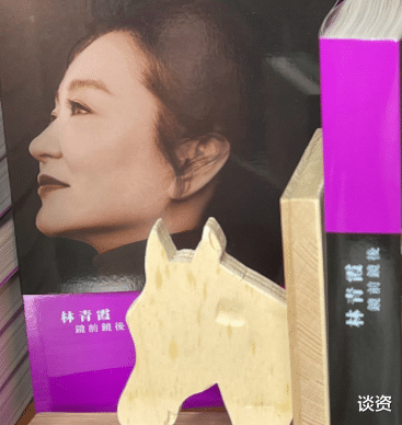 王秀竹|屡传婚变,林青霞罕见提老公,邢李源一句话逗笑女神
