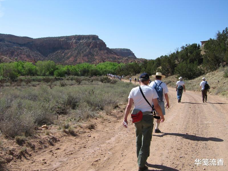蟒蛇|人在野外，突然遭遇大型蛇类，该怎么办？