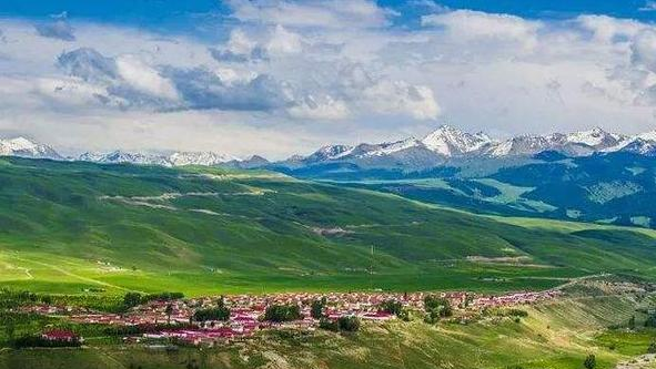 高寒▲一到夏天，这些地方就成了仙境