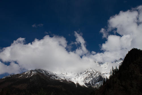 『四川省』四川这个地方出现怪鱼,味道鲜似三文鱼,引多人前往垂钓