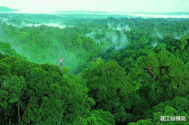 『湖光岩』湛江湖光岩曾是一个可怕的“巨兽时代”，你若穿越能活下来吗？