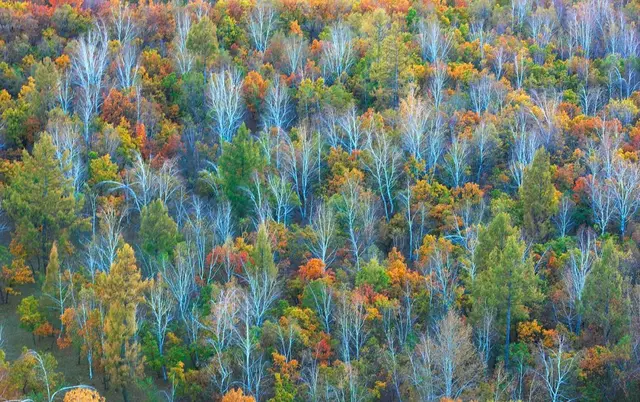 自驾|全国最早一波秋色来了！这6条自驾路线，9、10月美成天堂