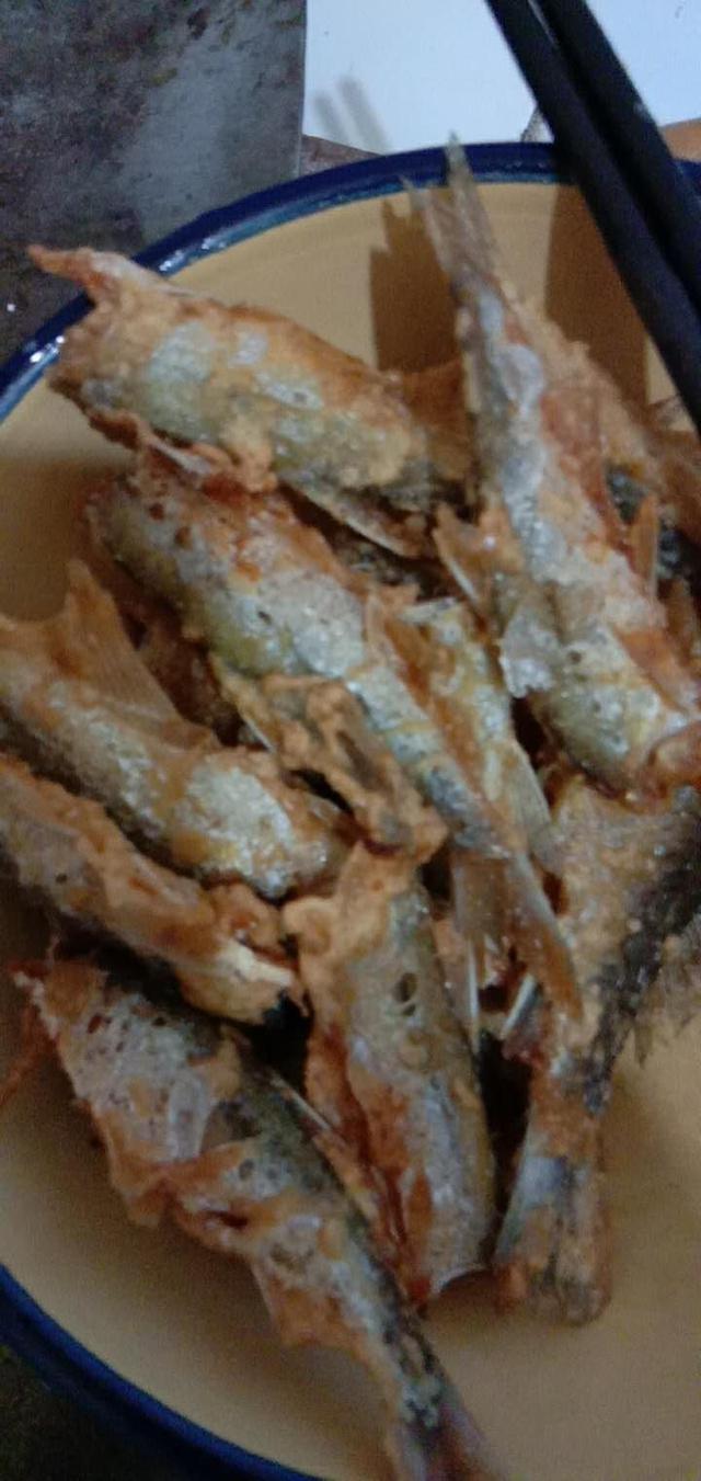 @白条也是鱼，但是你知道为何有钓友嫌弃它吗？