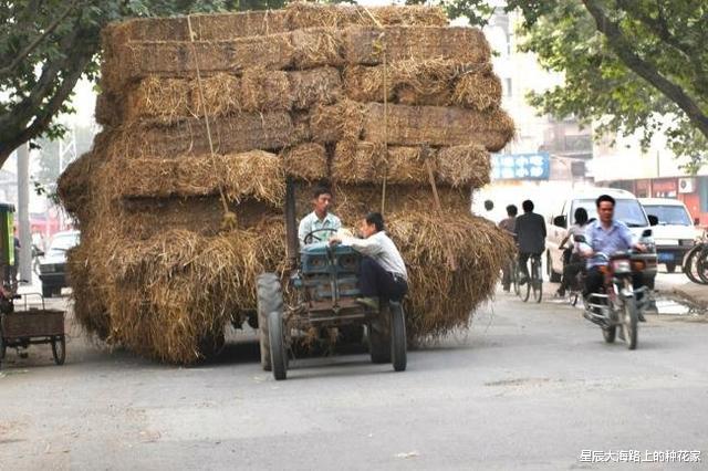 动力|外国人看不懂的中国之谜：中国单缸柴油机，怎么在哪都有它？