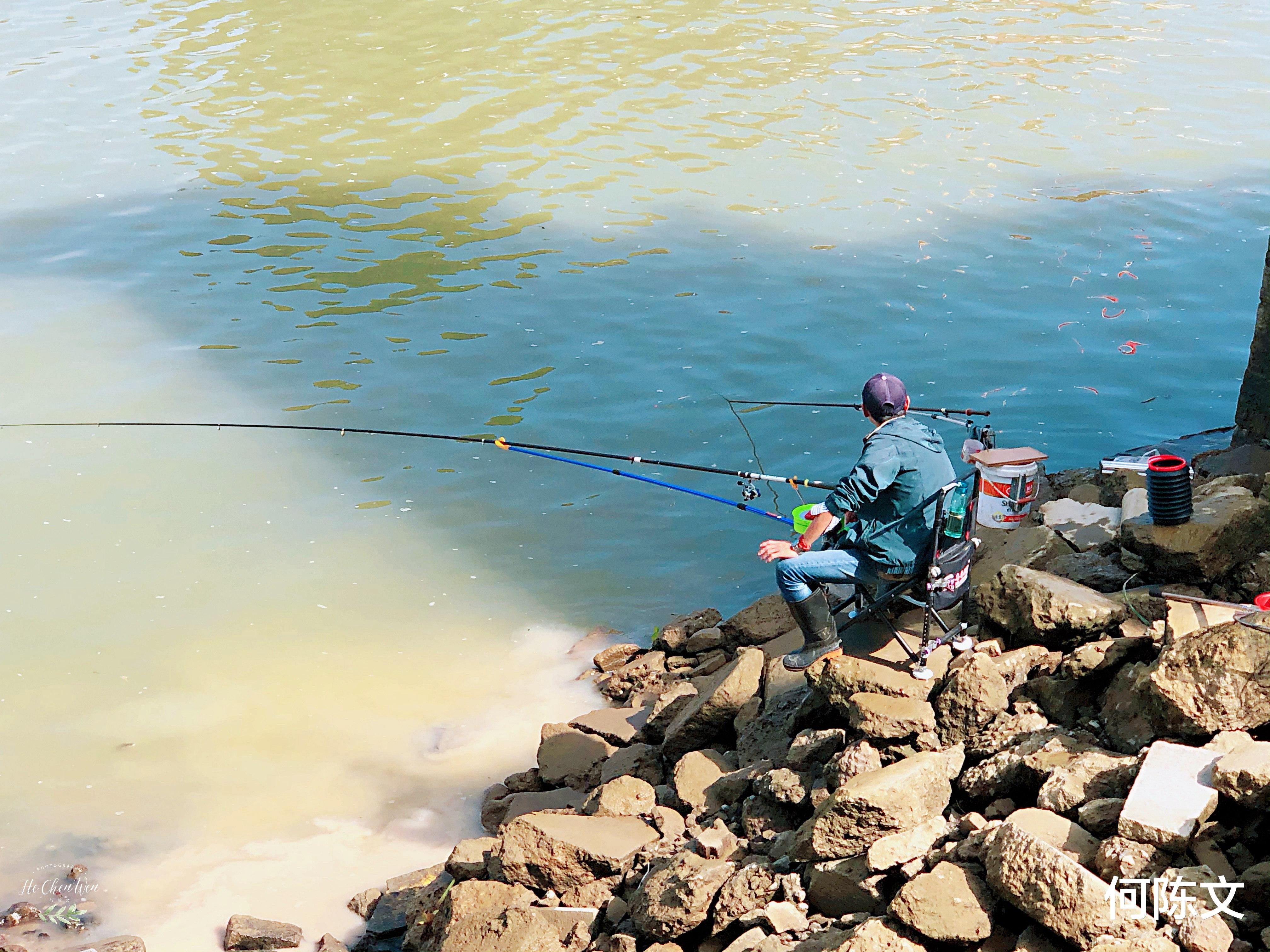 「闽江」闽江畔的这个地方,钓友都喜欢来钓鱼,而且每次都是收获满满