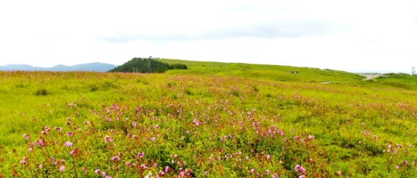 万峰林|快来看，美翻了，黔西南的网红旅游地随手一拍就是大片