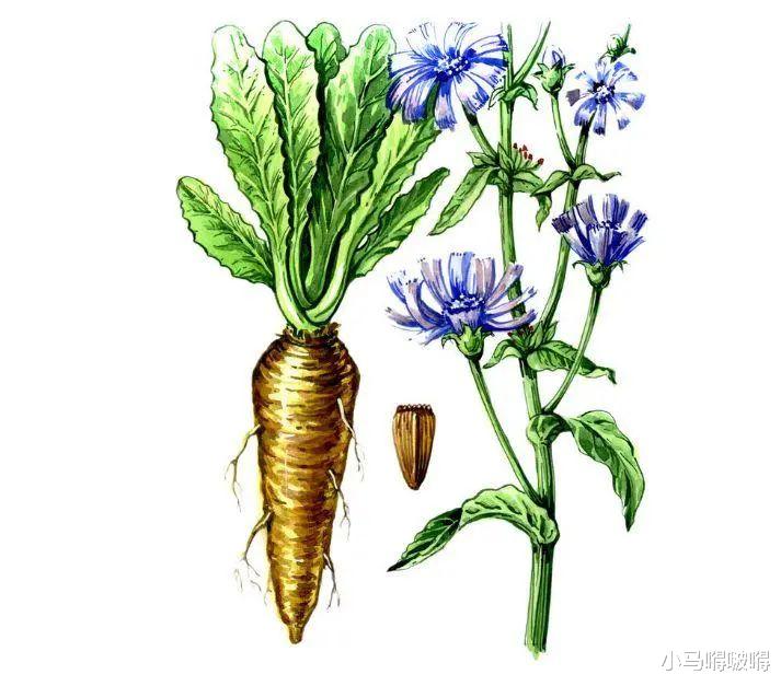 豆腐■21岁女孩，查出肠癌晚期，告诫：这种食物很脏，总吃肠道受不了