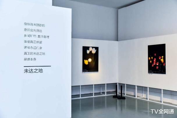 |华为P40 Pro荣获权威年度摄影大奖，超感知影像展正在营业