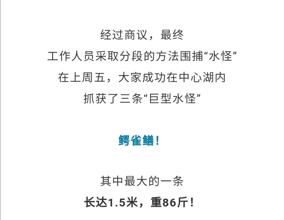 贵阳晚报|公园湖内惊现巨型“食肉水怪”,缉拿归“岸”后原来竟是…