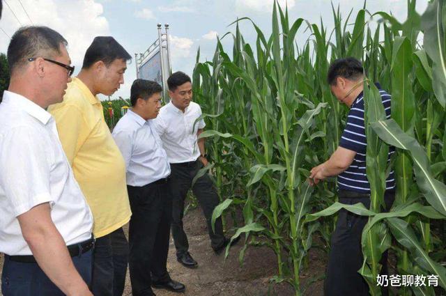 高校|2020高考“最悲情”大学，号称“小211”，第三次征集志愿都没人填报