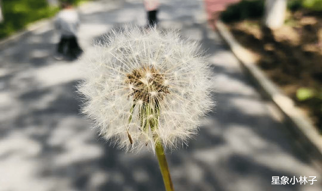 『水星』6月，新人笑，旧人哭，多情总被无情伤的3大星座