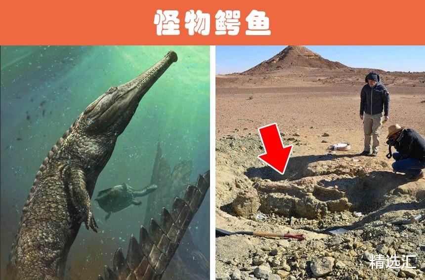 撒哈拉沙漠|隐藏于撒哈拉沙漠之下的10个神秘的考古发现