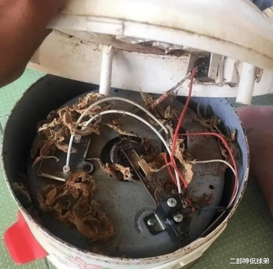 |“电饭锅煮饭飘出阵阵香味，打开电锅发现…”哈哈哈这得整两瓶喝喝