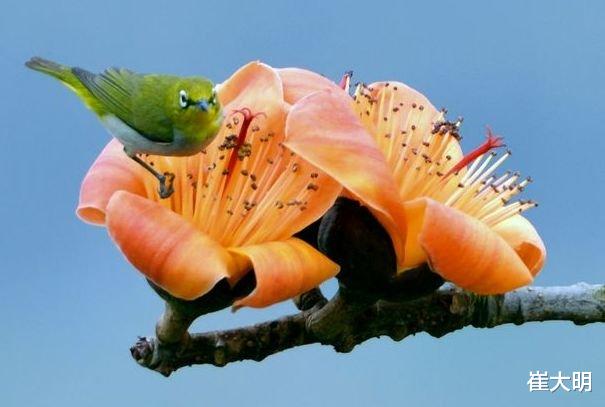 『属兔』7月中旬得吉星相照，4属相大吉大利，福星眷顾，生活越过越富裕