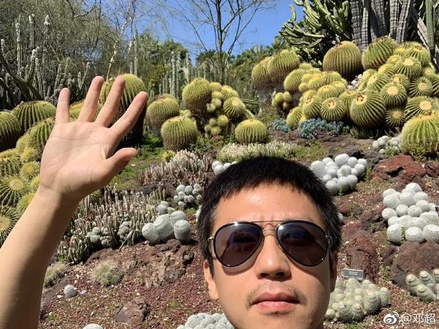 「陈乔恩」朱一龙感情专一？陈乔恩挽陈正飞手臂出游？邓超俞白眉合作新电影