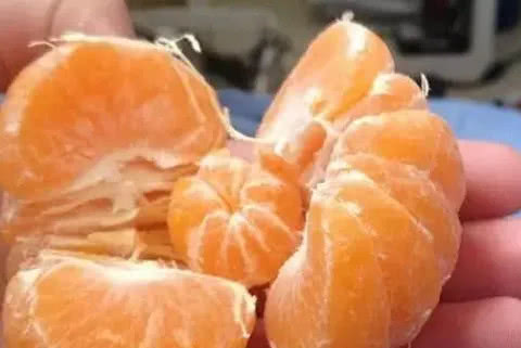 吃货踩了狗屎运的事情，多仁花生不算啥，最后才是中彩票一般的几率！